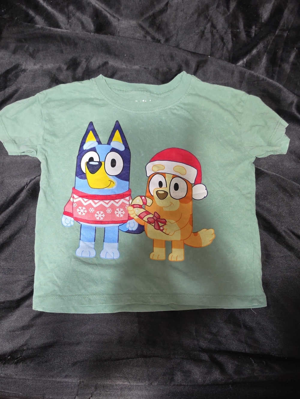 Disney Bluey & Bingo Holiday Tee in Mint Green